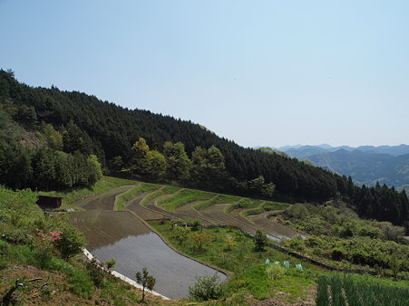 006_榛原