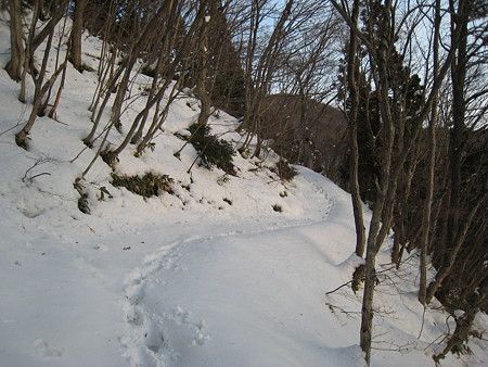 登山道2
