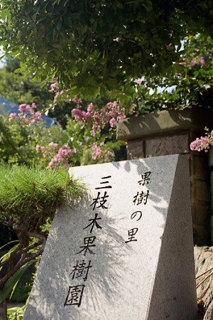 平戸散策 03