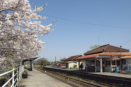 小湊鉄道の桜 02