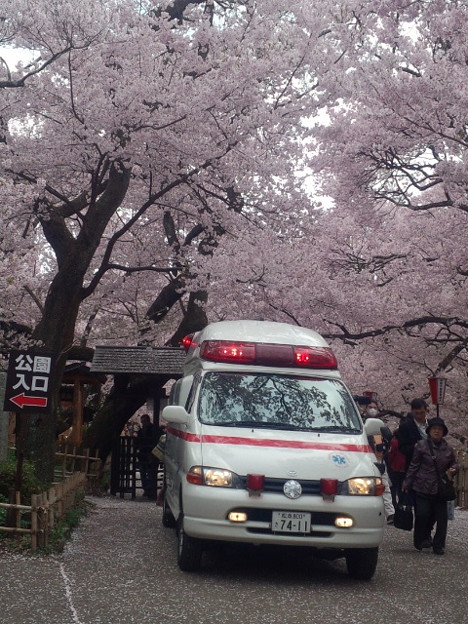 写真: DSC_0641