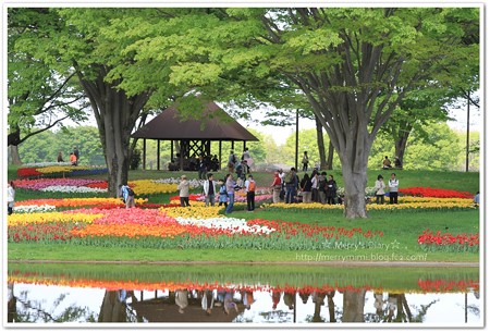 昭和記念公園