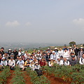 2011年09月ハンバラン丘陵