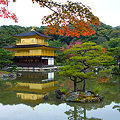 2008　京都紅葉