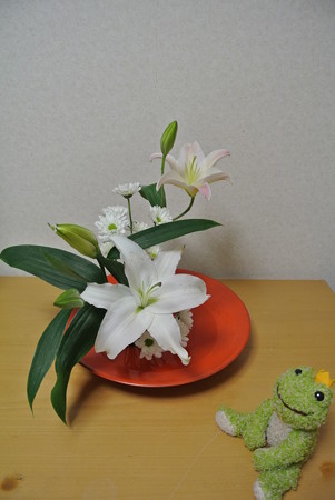 花ものをいける(白い花)